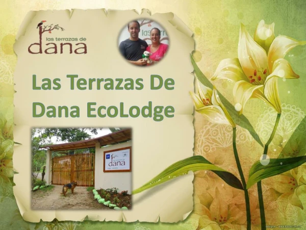 The best EcoLodge in Mindo Ecuador: