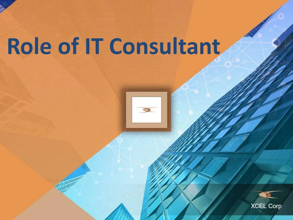 role of it consultant