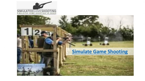 Simulated Game Shooting in Essex