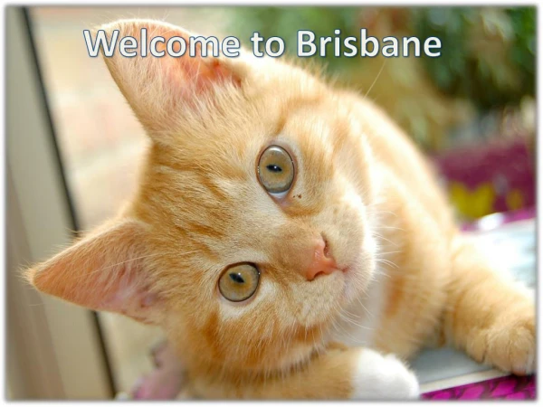 Backpage Brisbane site similar to backpage ..
