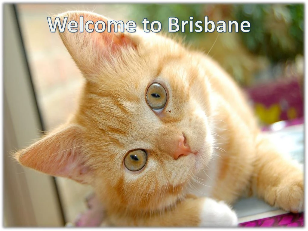 welcome to brisbane