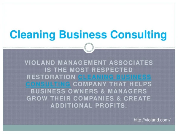 Cleaning Business Consulting