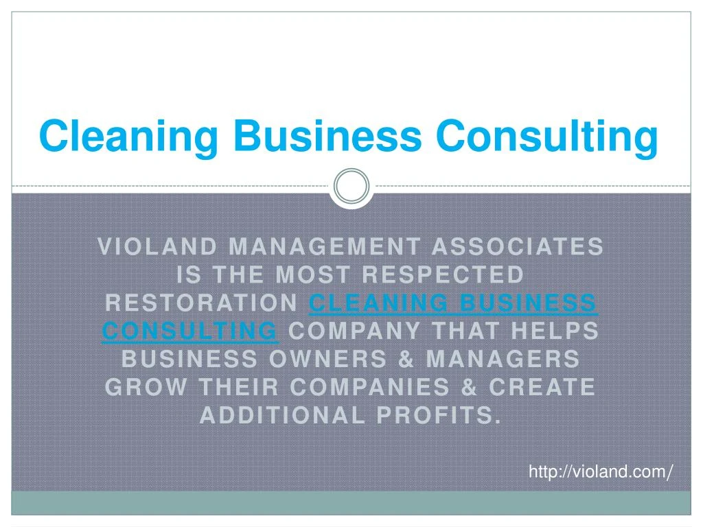 cleaning business consulting