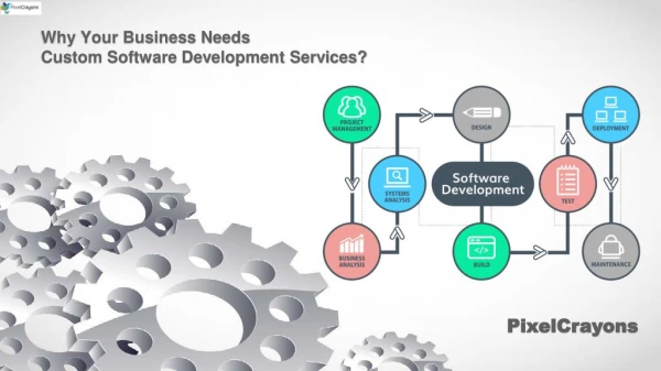 Why Your Business Needs Custom Software Development Services`
