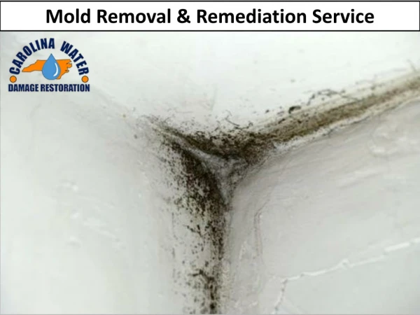 Mold Removal & Remediation Service in Durham NC