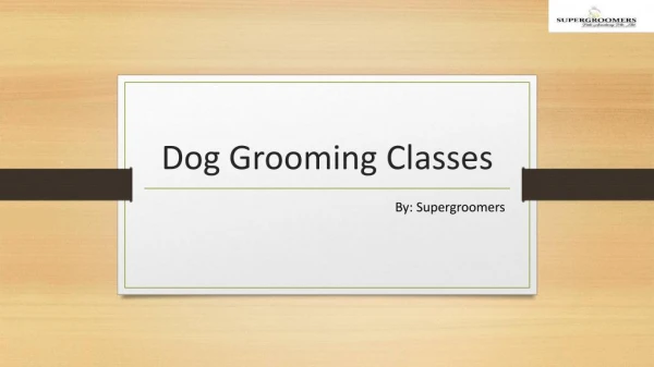 Looking for Dog Grooming Classes in Singapore