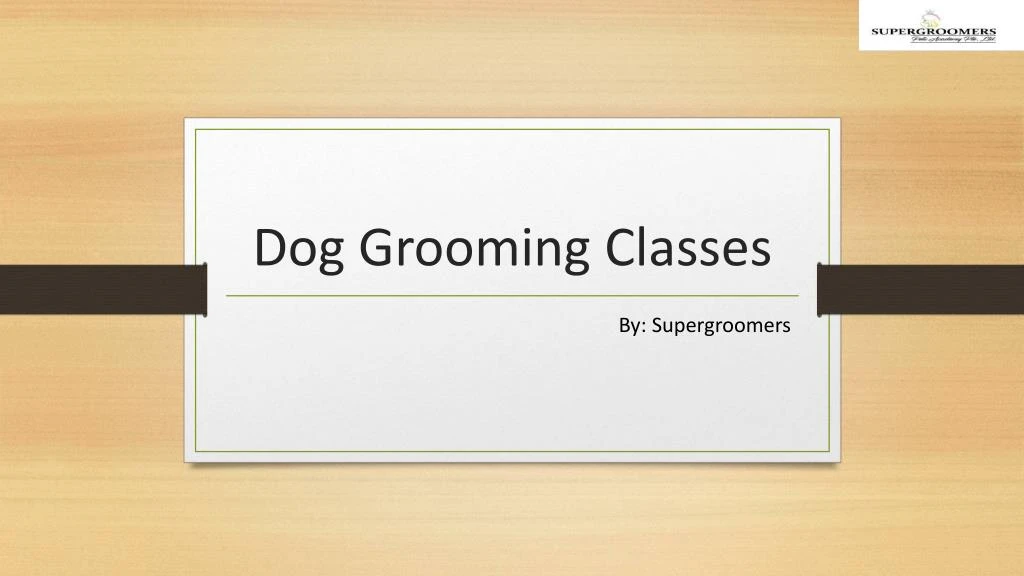 dog grooming classes