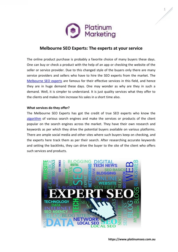 Melbourne SEO Experts: The Experts At Your Service