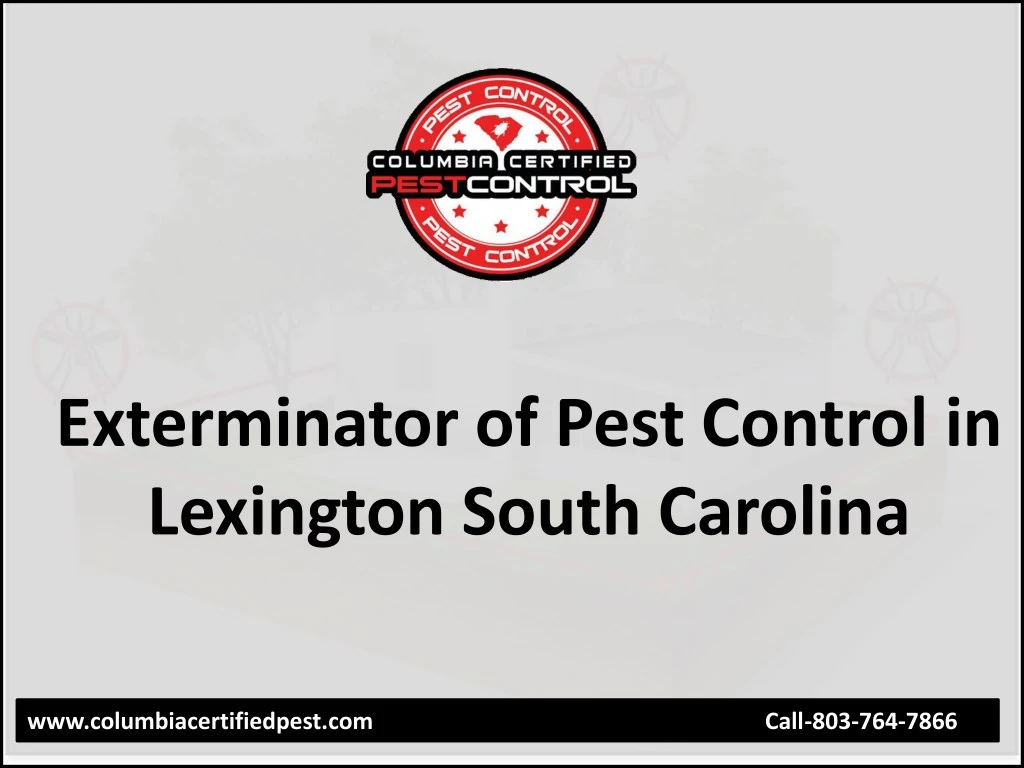exterminator of pest control in lexington south