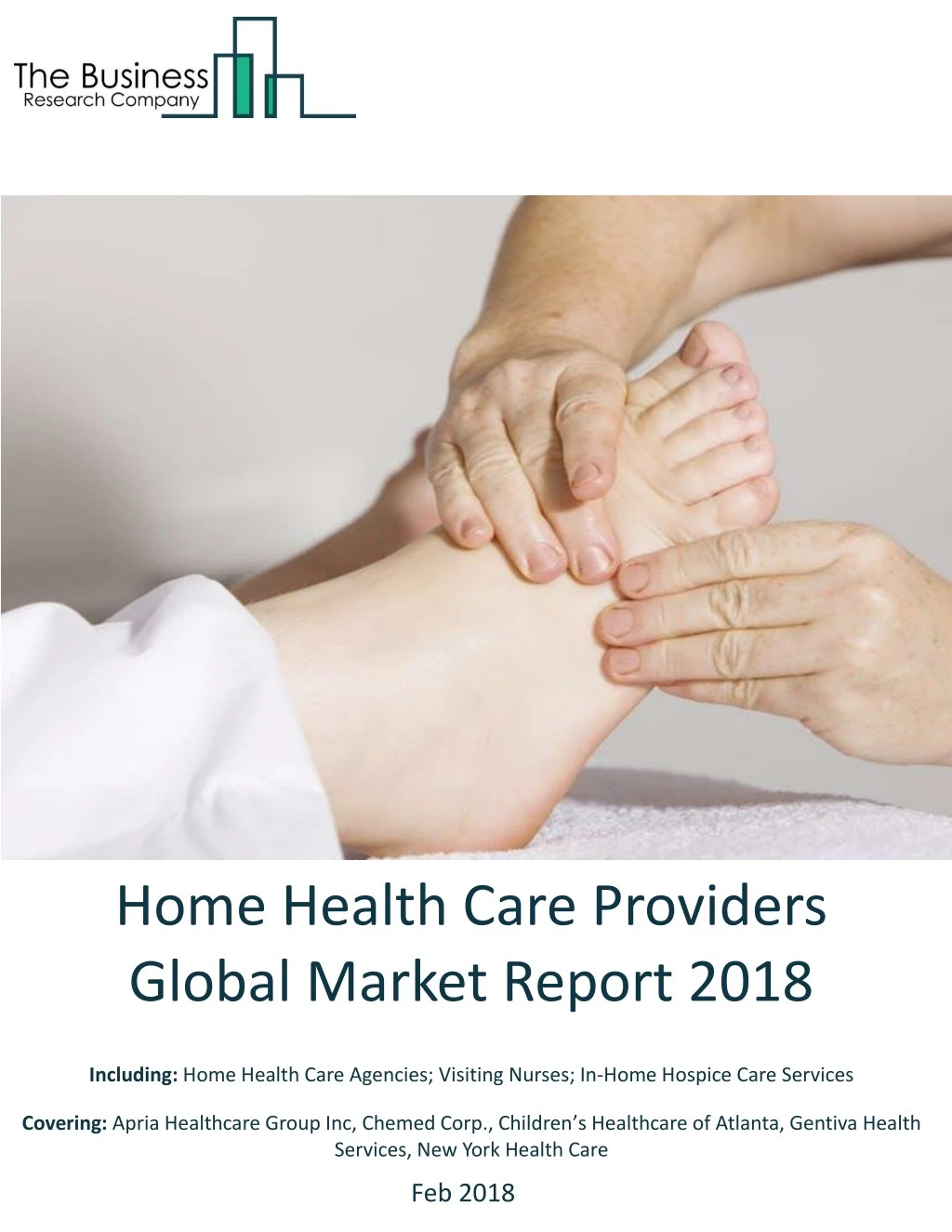 home health care providers global market report