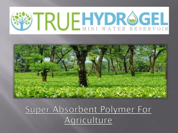 Super Absorbent Polymer For Agriculture