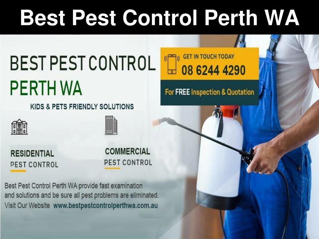 best pest control perth wa