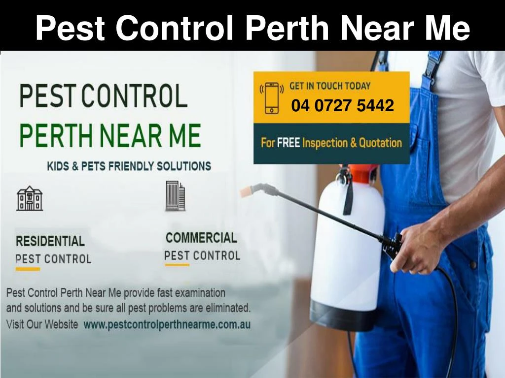 pest control perth near me