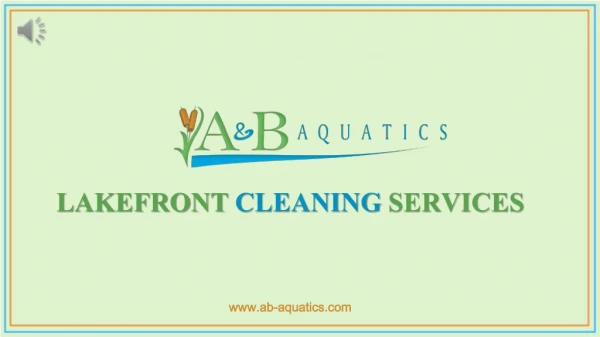 Lakefront Cleaning Services in Tampa - A & B Aquatics