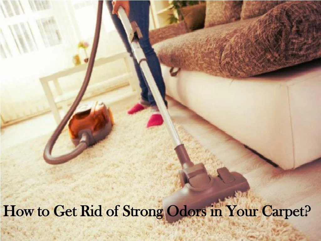 how to get rid of strong odors in your carpet