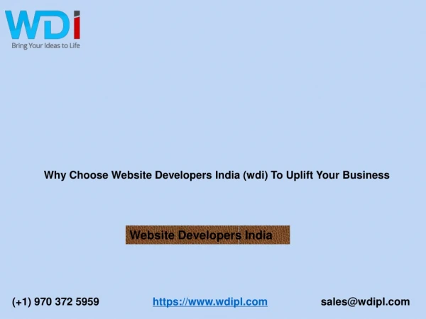 Why Choose Website Developers India (wdi) To Uplift Your Business