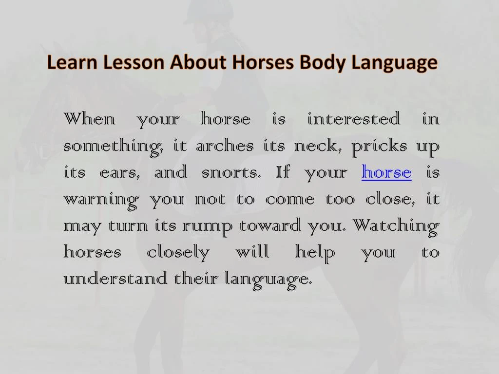 learn lesson about horses body language