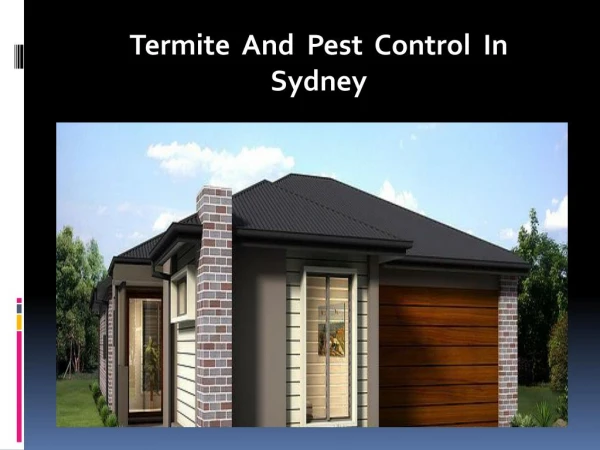 Termite And Pest Control In Sydney