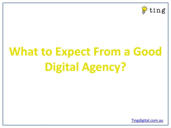 What to Expect From a Good Digital Agency?