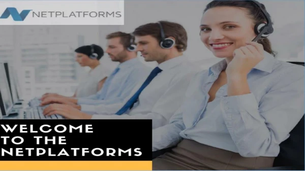 IT Consultancies in Sydney - Net Platforms