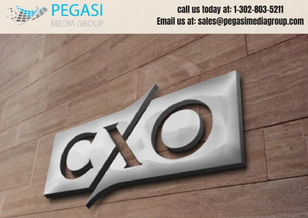 CXO Email Lists | CXO Mailing Lists in USA/UK/CANADA