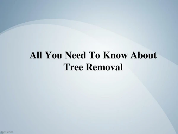 All You Need To Know About Tree Removal - MJS Tree and Stump