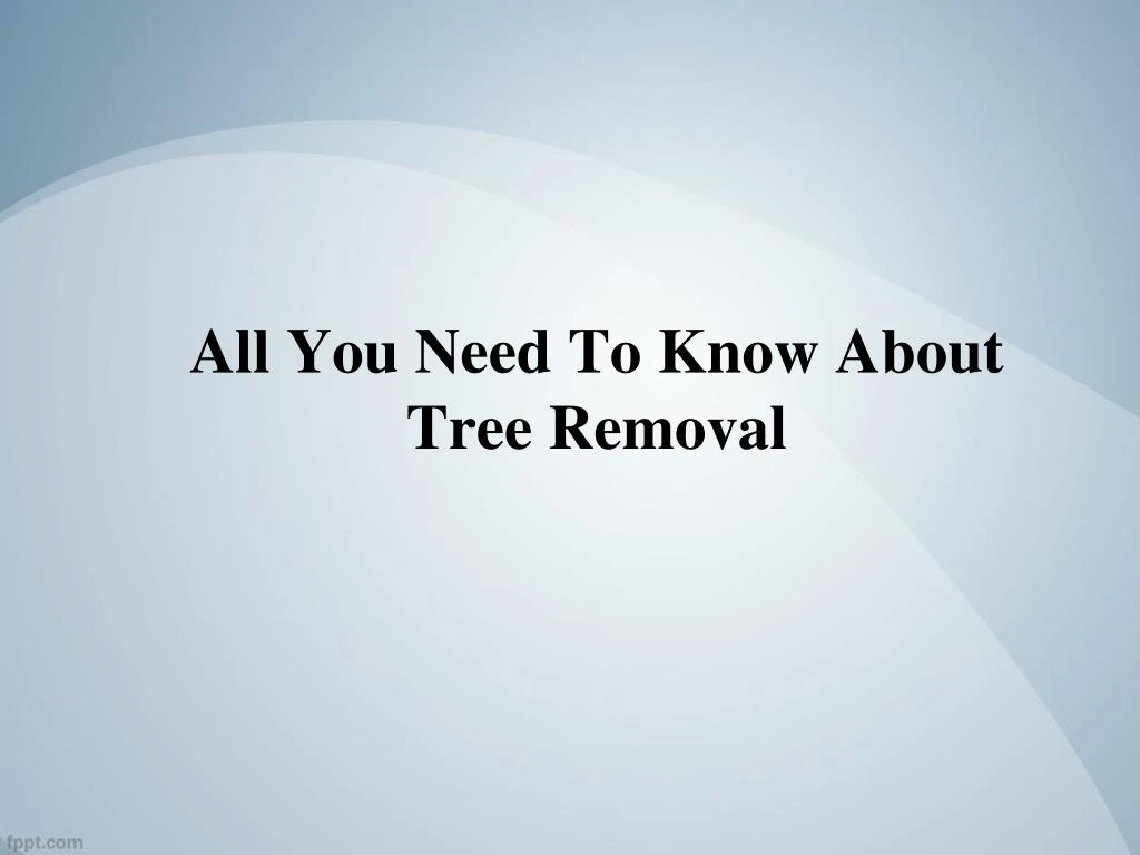 all you need to know about tree removal