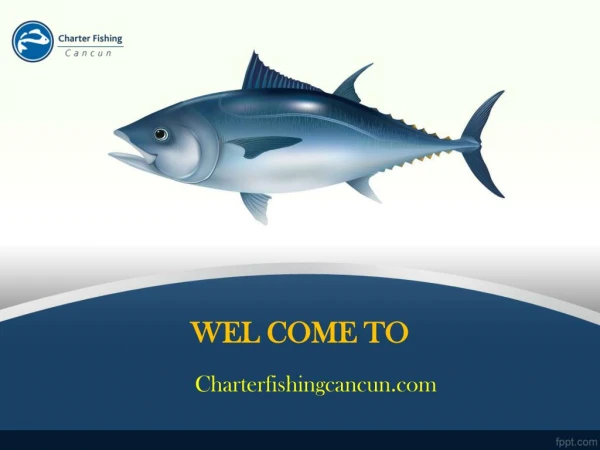 Cancun Sport Fishing and Deep Sea Fishing Tours - Cancun Fishing Charters