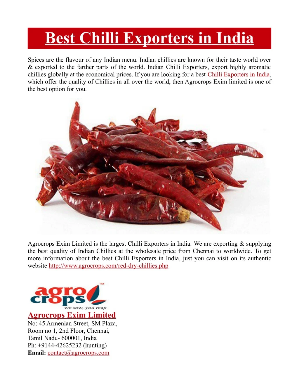 best chilli exporters in india