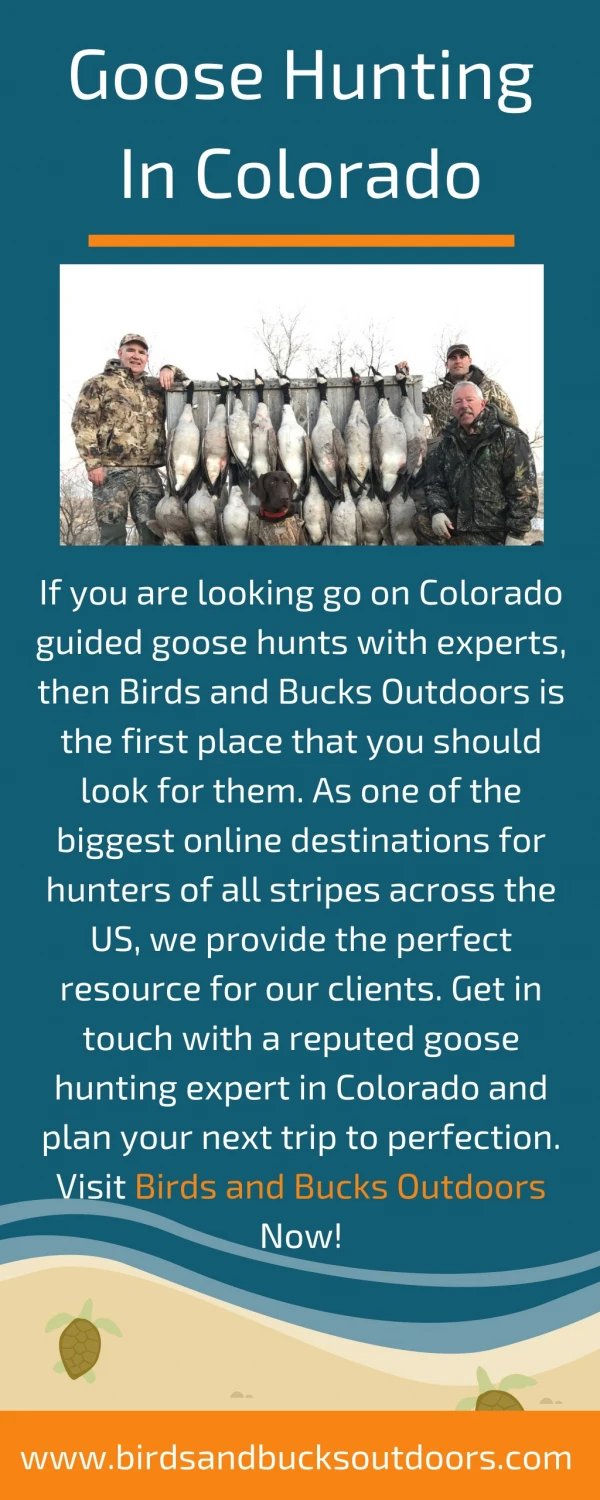 Goose Hunting in Colorado