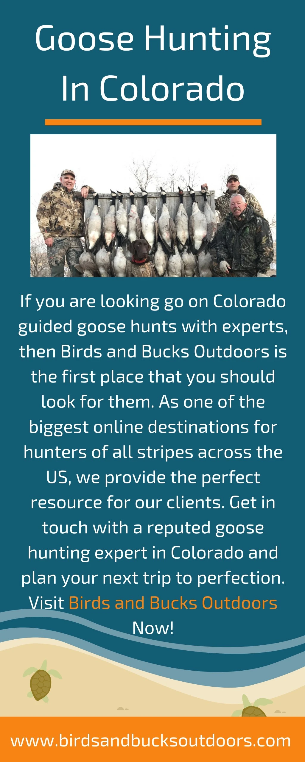 goose hunting in colorado