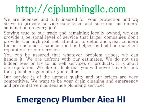 Plumbing contractor Aiea HI