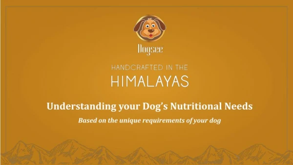 Understanding your Dog’s Nutritional Needs - Dogsee