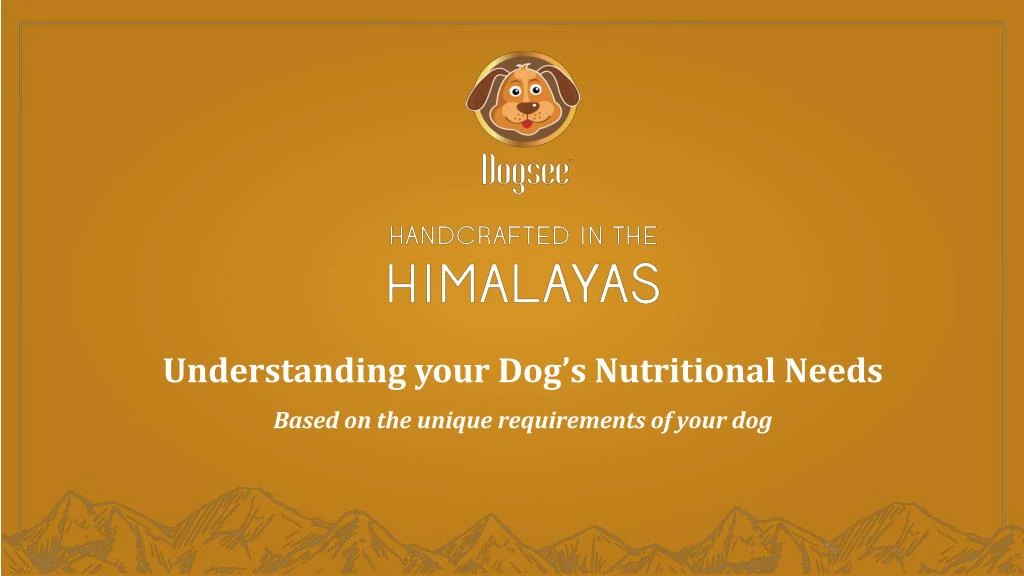 understanding your dog s nutritional needs