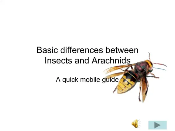 Basic differences between Insects and Arachnids