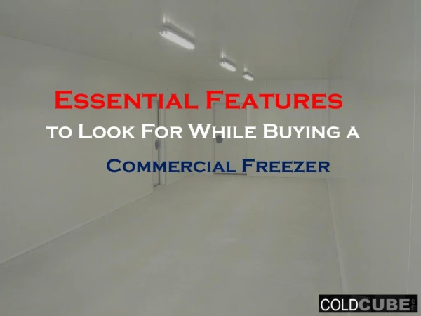 Essential Features to Look For While Buying a Commercial Freezer