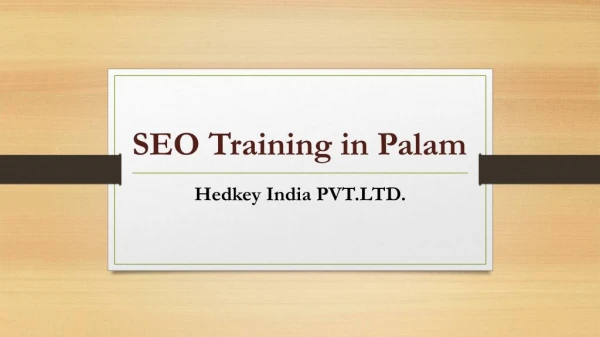 SEO Training in Palam | Hedkey India PVT.LTD.