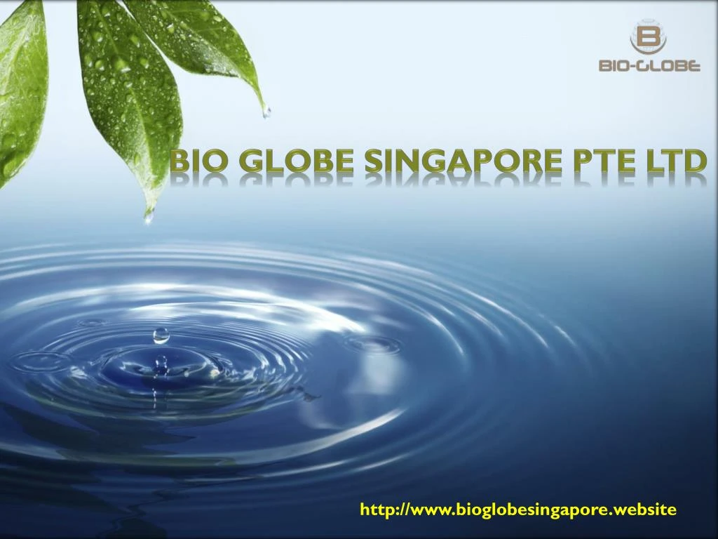 bio globe singapore pte ltd