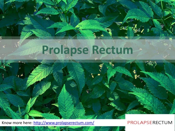 Prolapse Rectum Treatment in India- Prolapserectum.com