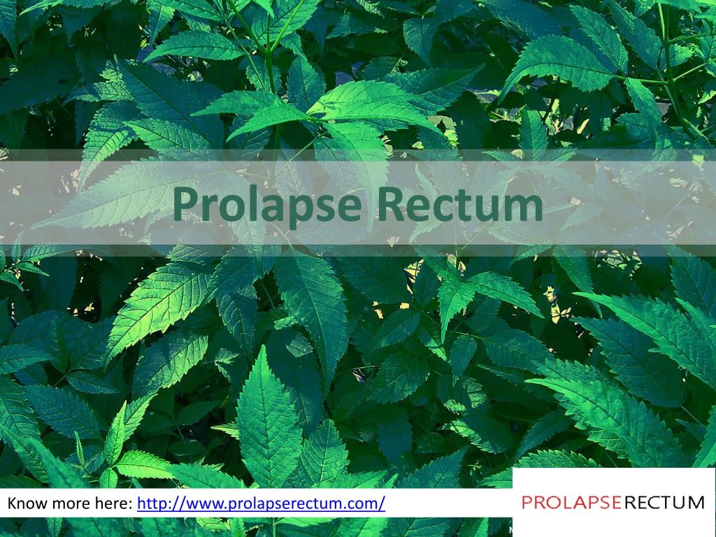 prolapse rectum