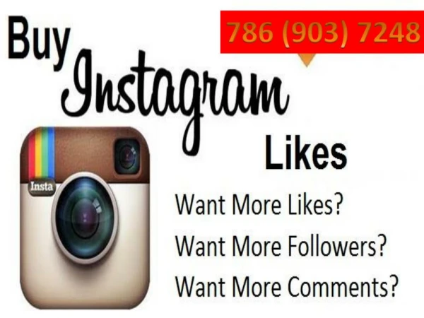 Buy Bulk Instagram Accounts