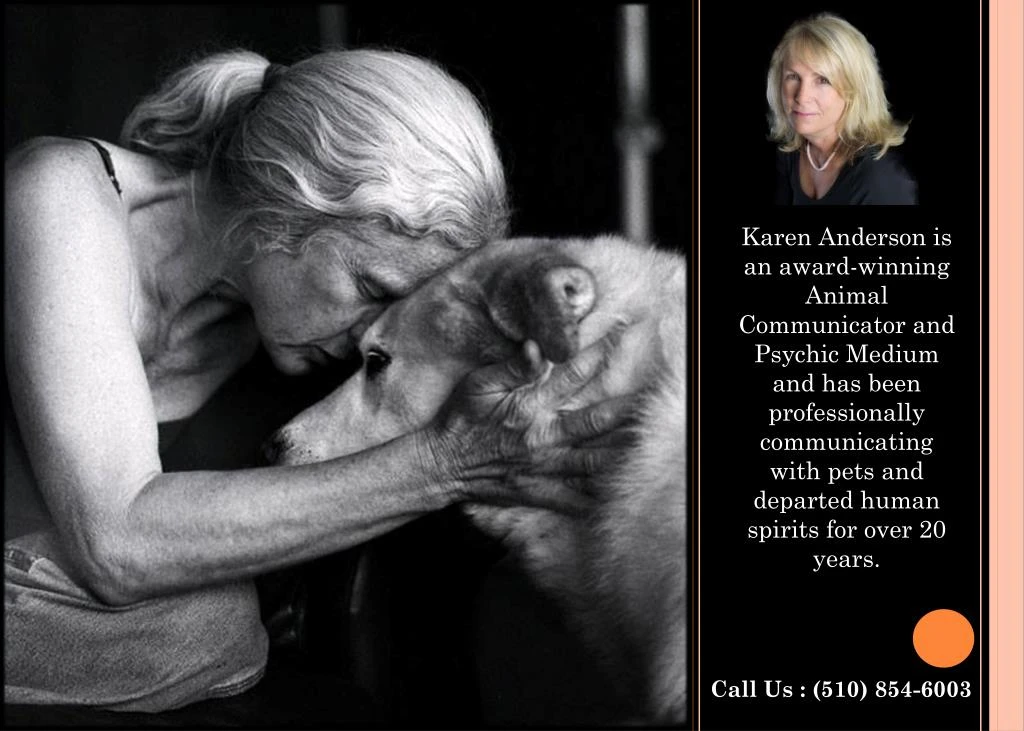 karen anderson is an award winning animal