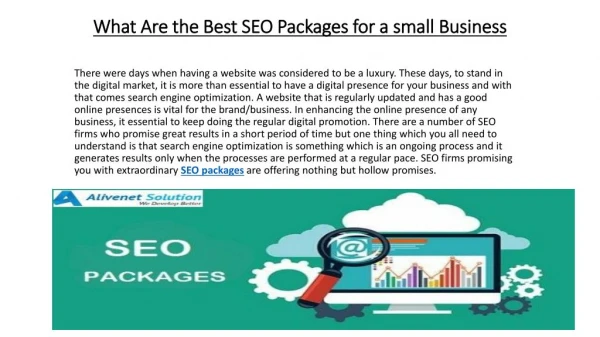 What Are the Best SEO Packages for a small Business?