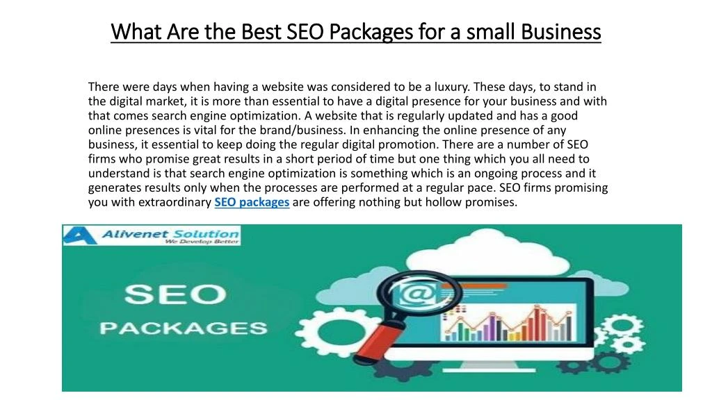 what are the best seo packages for a small business
