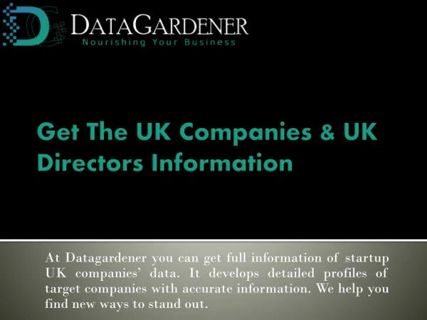 UK Companies & UK Directors Information