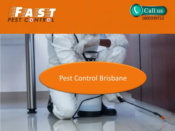Fast Pest Control