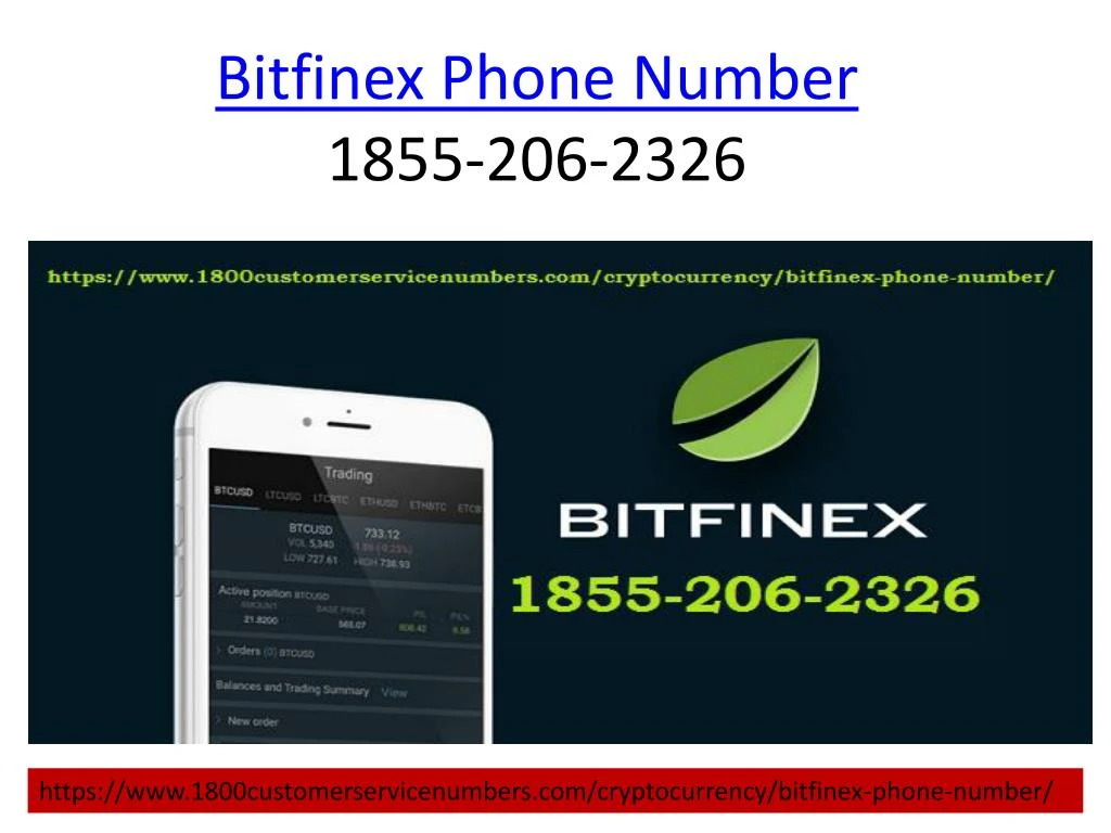 bitfinex phone number 1855 206 2326