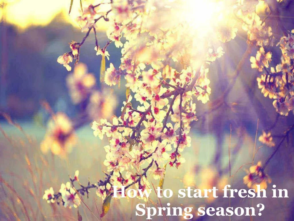 how to start fresh in spring season