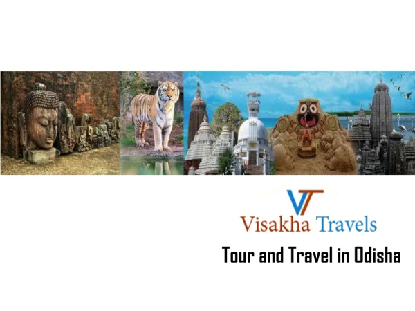 Tour and Travel in Odisha | Visakha Travels