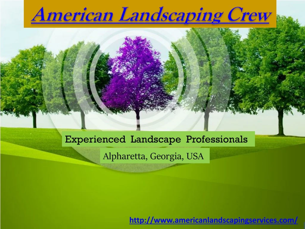 experienced landscape professionals